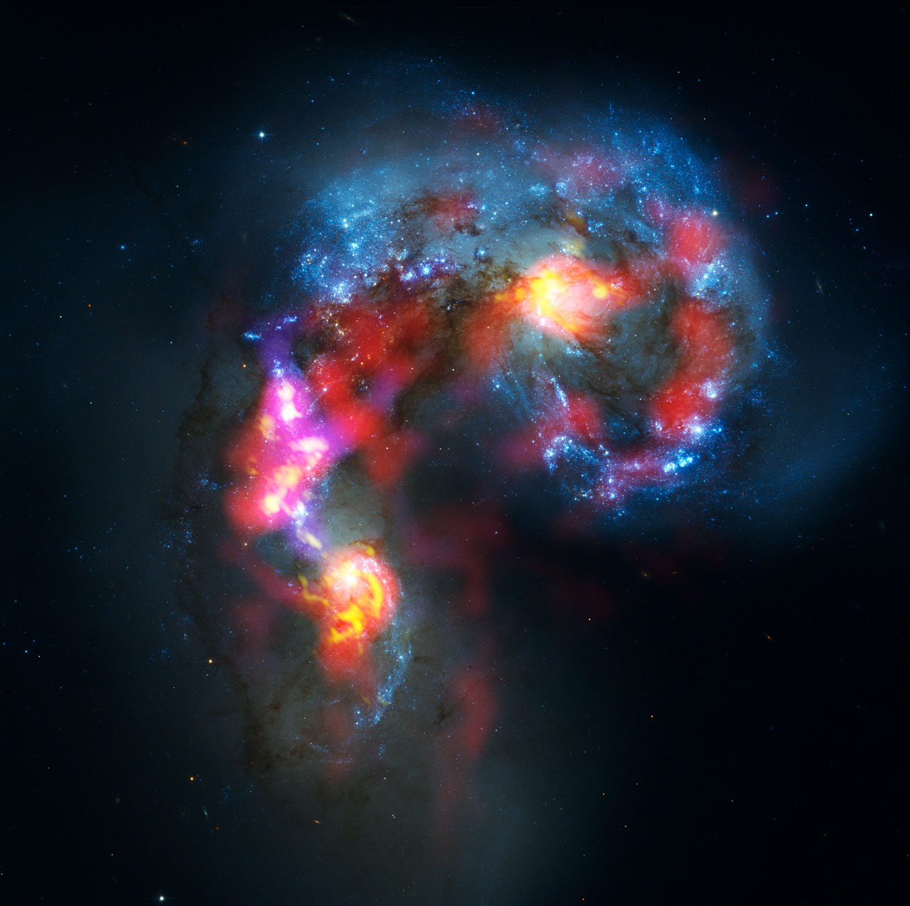 antenna galaxies alma and hubble